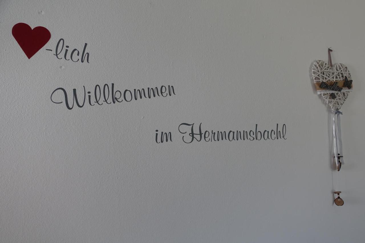 Am Hermannsbachl Bischofsmais Esterno foto